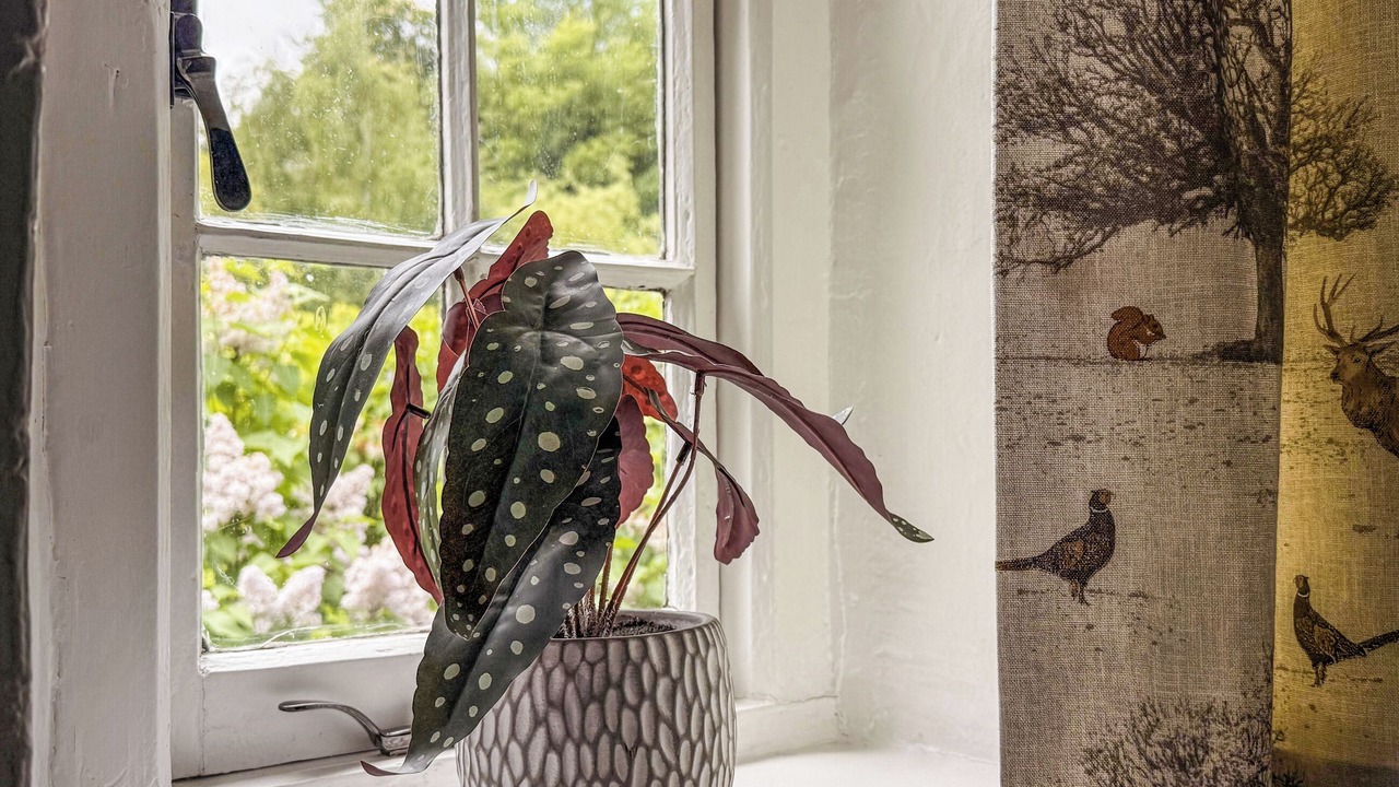 Photo of Others in Stiffkey