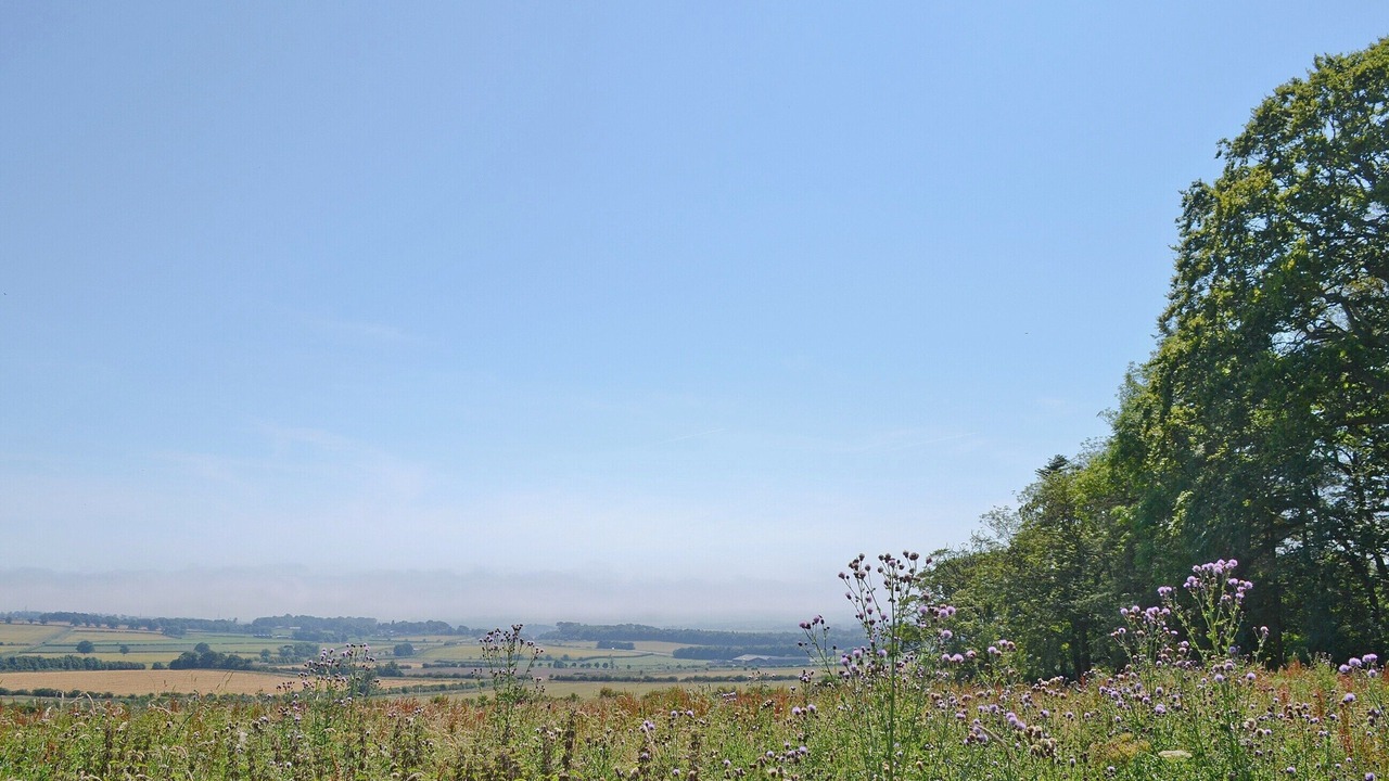 Photo of Others in South Charlton