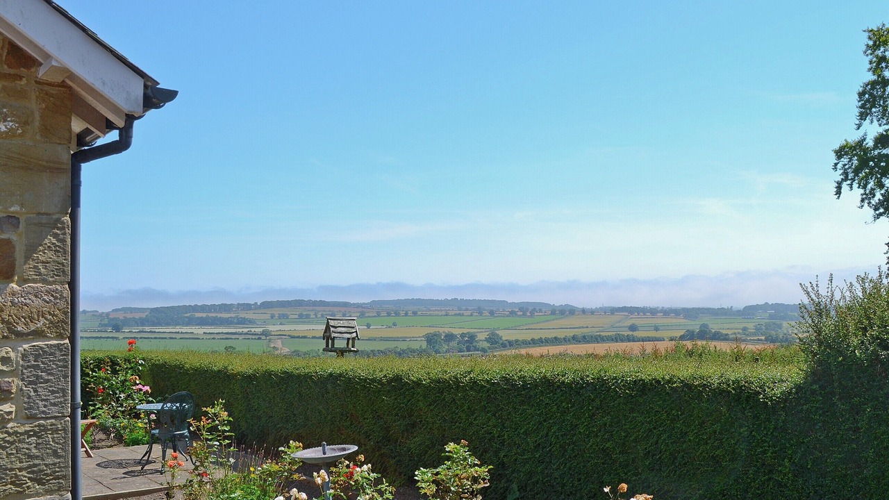 Photo of Others in South Charlton