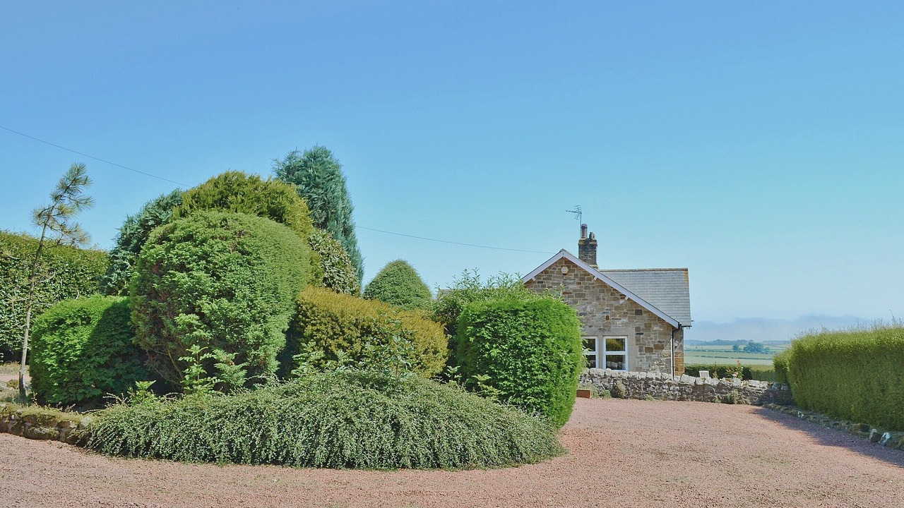 Photo of Outdoor in South Charlton