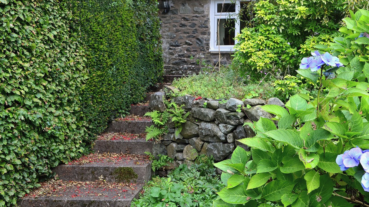 Photo of Outdoor in Moffat