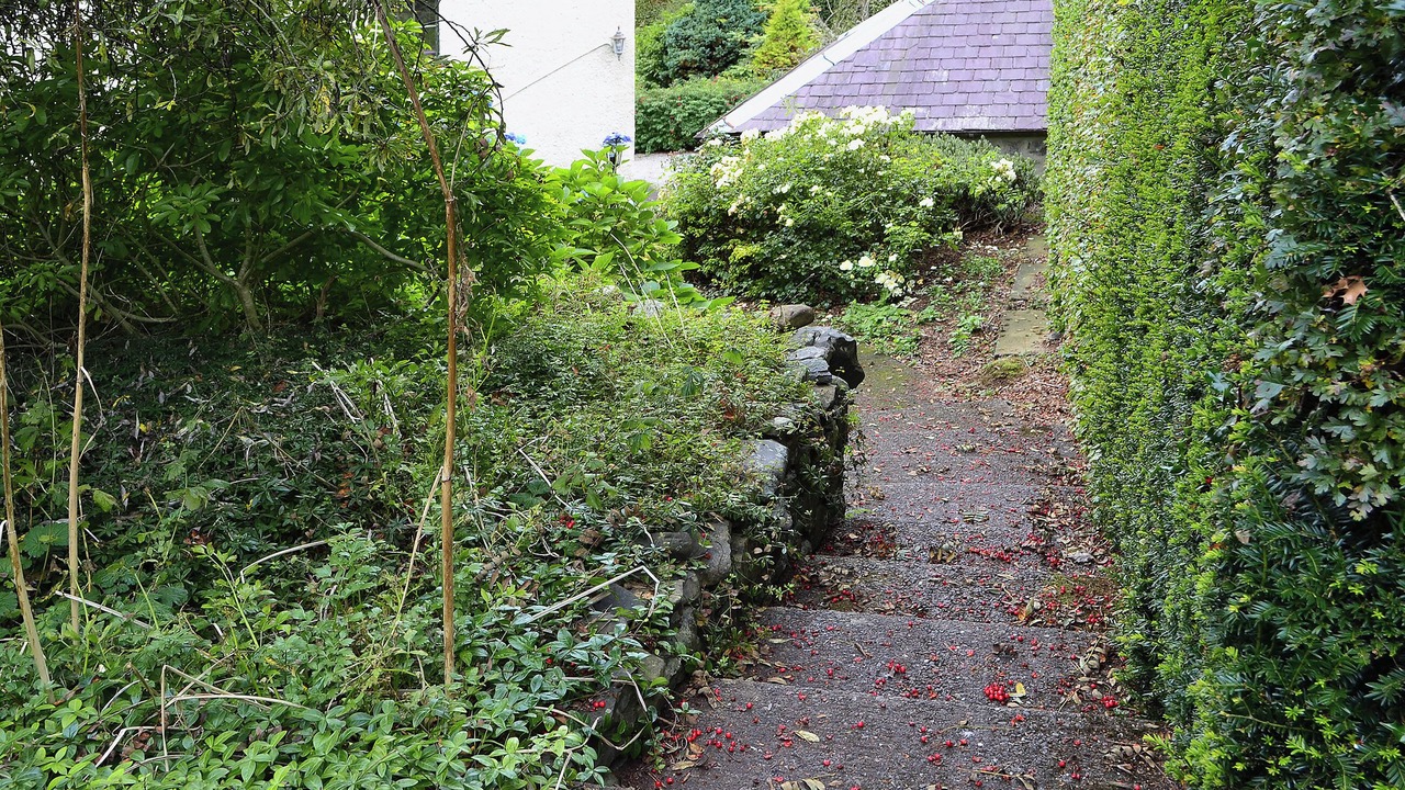 Photo of Outdoor in Moffat