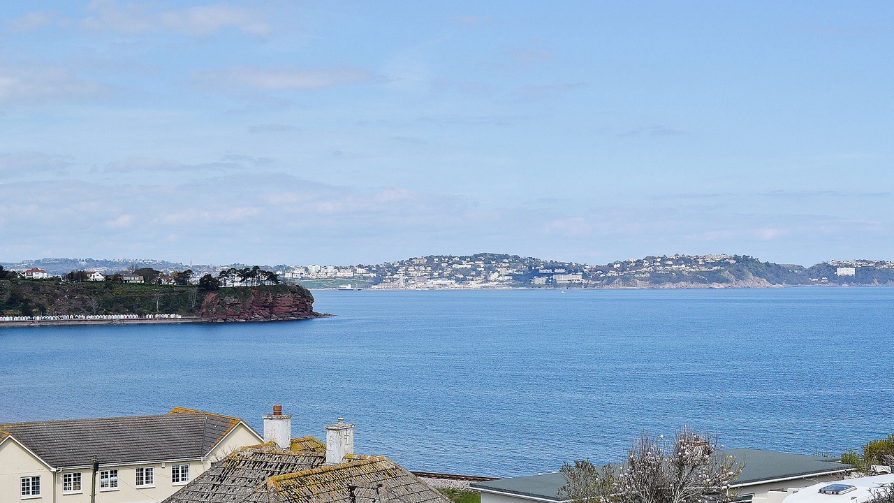 Photo of Others in Paignton