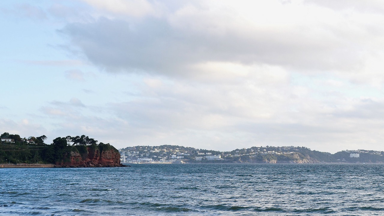 Photo of Others in Paignton