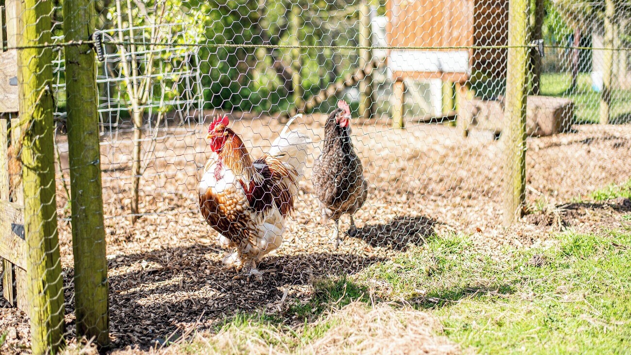 Photo of Outdoor in Carlisle