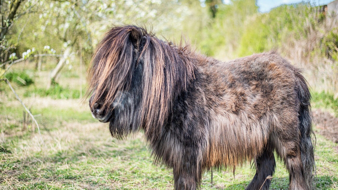 Photo of Outdoor in Carlisle
