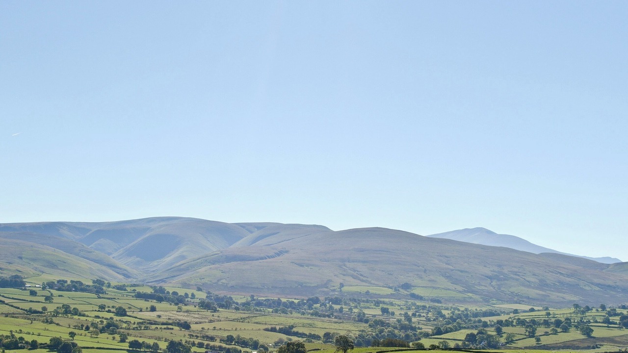 Photo of Others in Carlisle