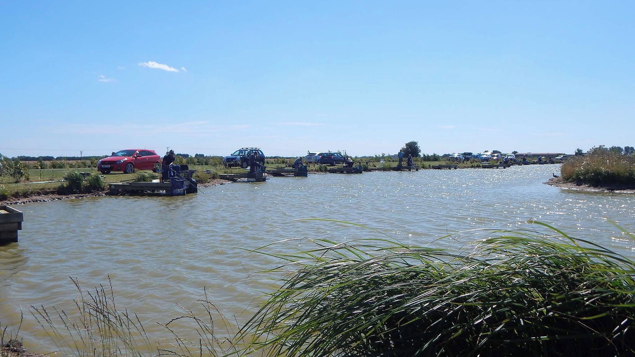 Photo of Outdoor in Addlethorpe