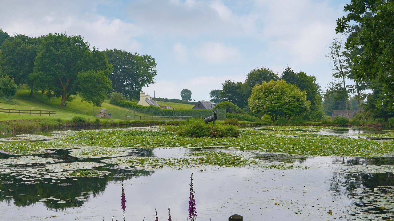 Photo of Outdoor in Liskeard