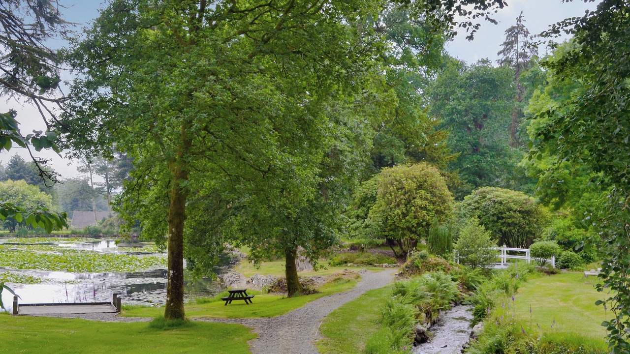 Photo of Outdoor in Liskeard