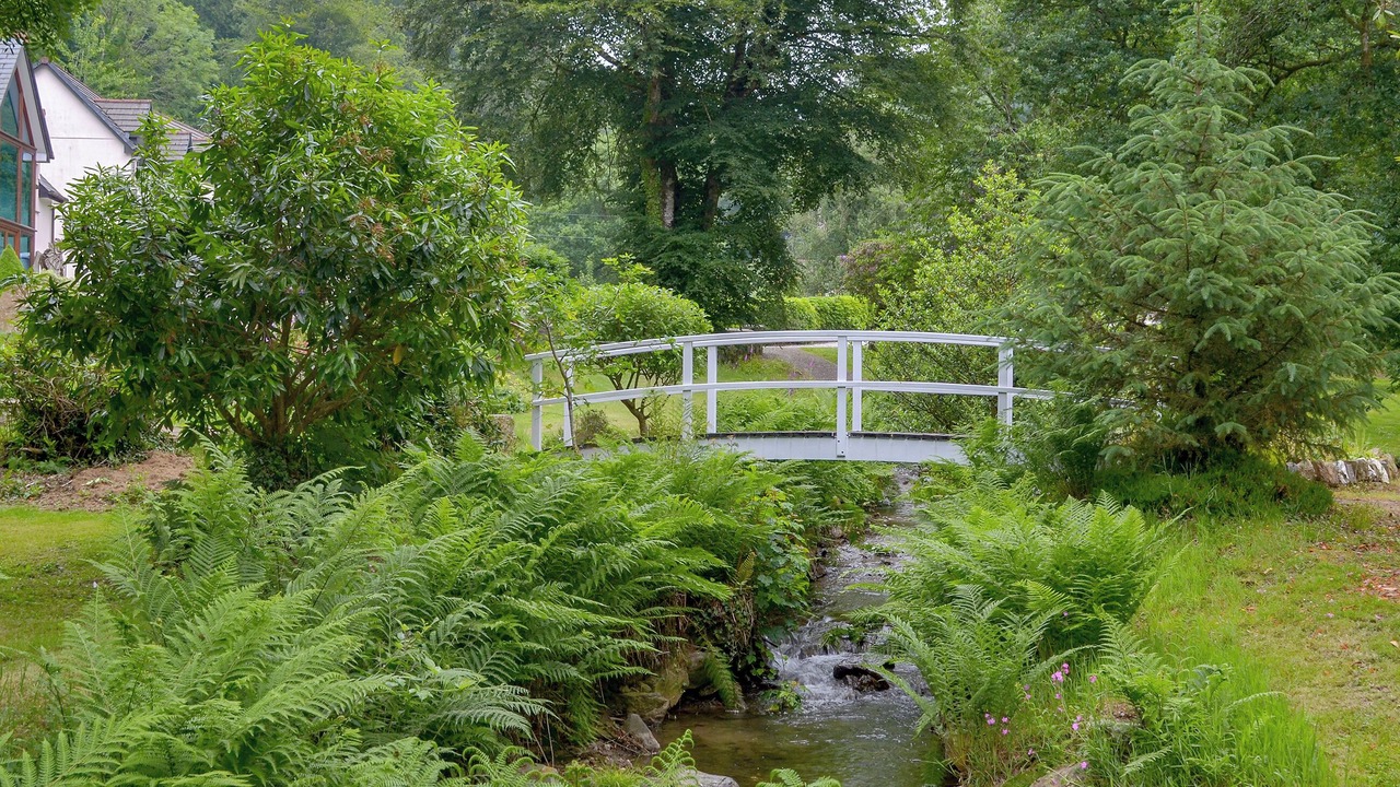 Photo of Outdoor in Liskeard