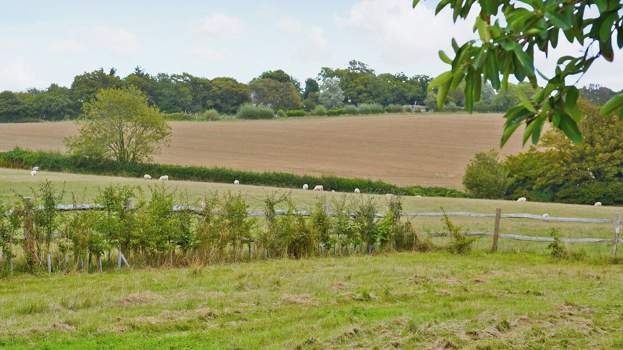 Photo of Others in Bodle Street Green