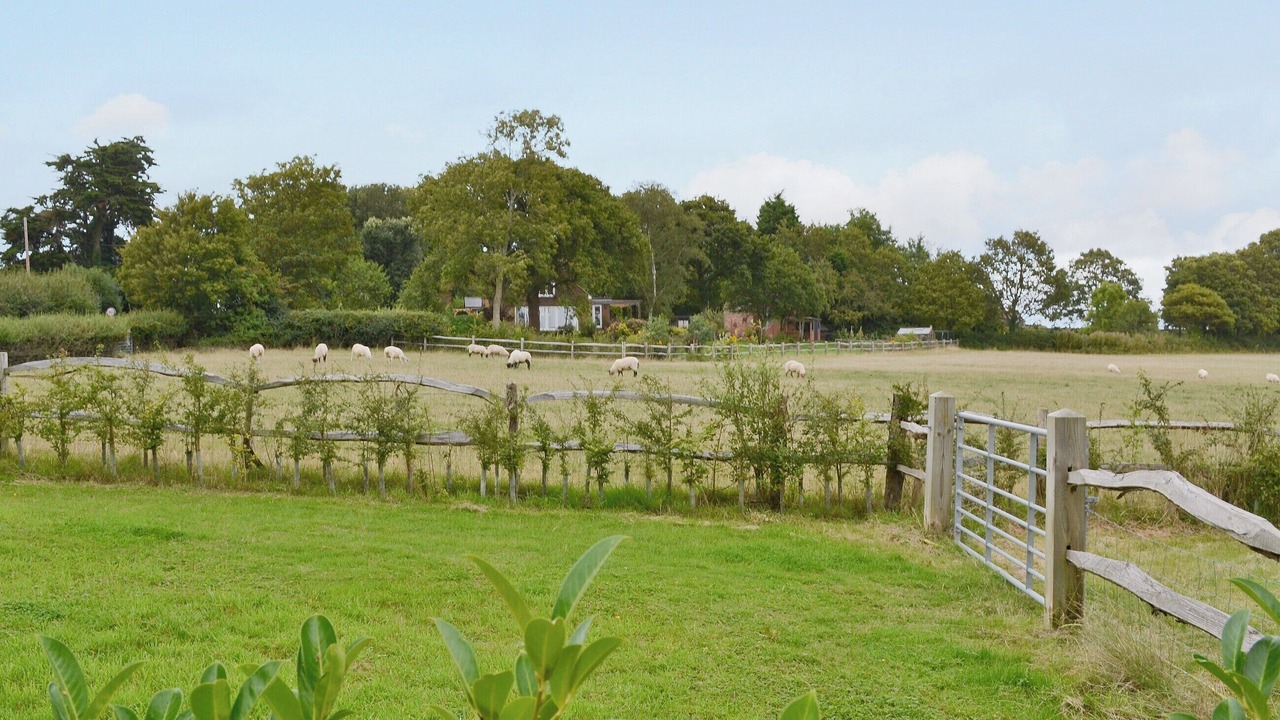 Photo of Others in Bodle Street Green