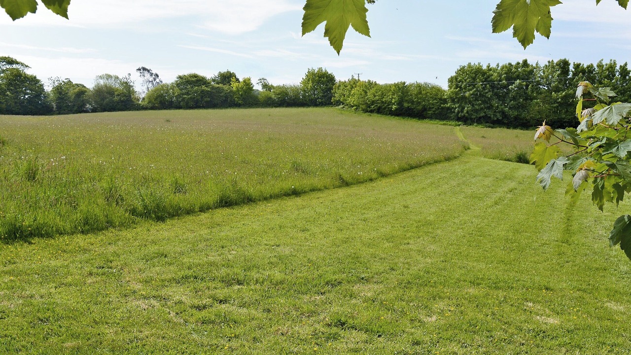 Photo of Others in Stowford