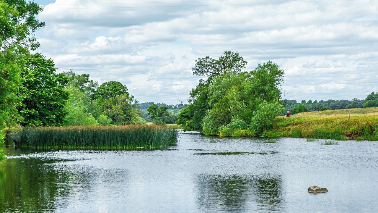 Photo of Others in Middleham