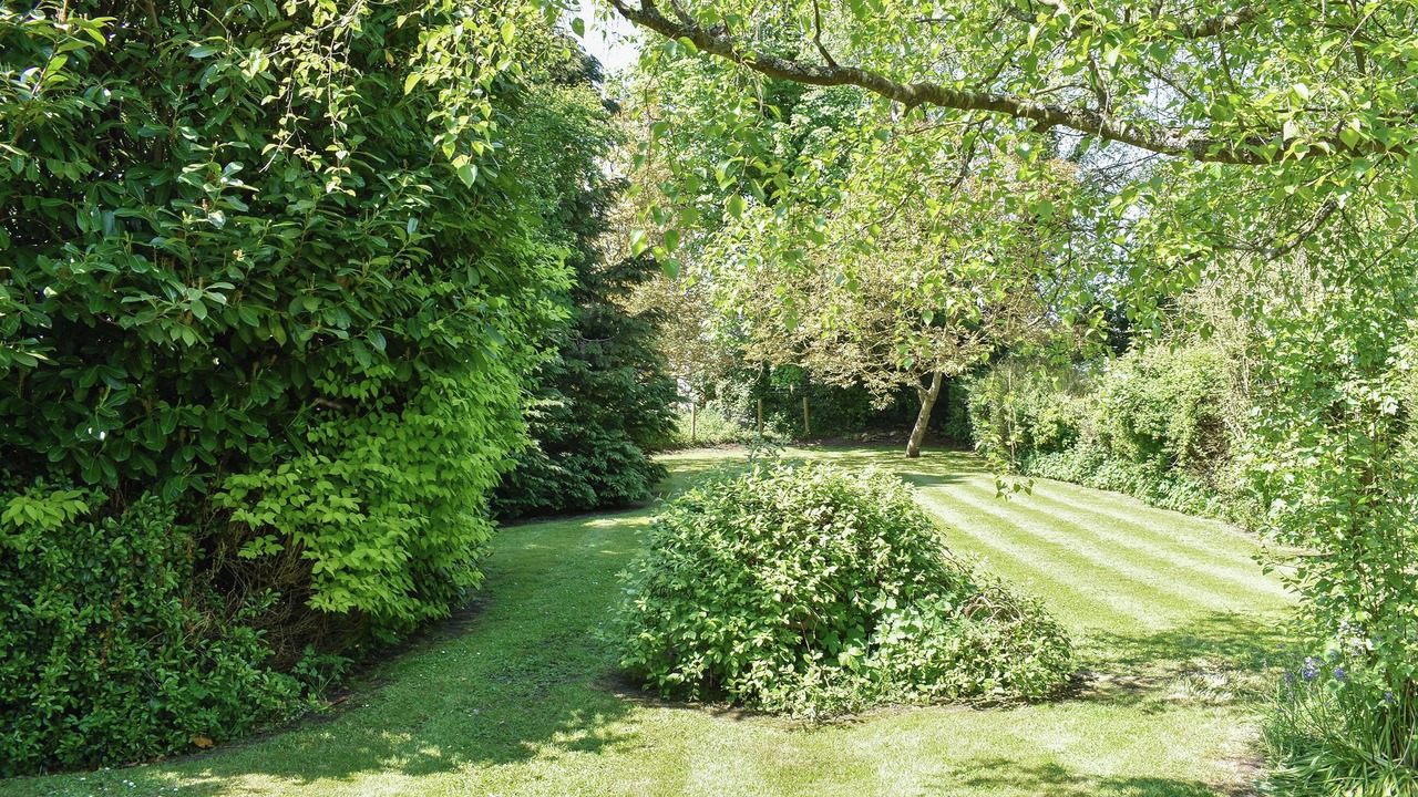 Photo of Outdoor in Winfrith Newburgh