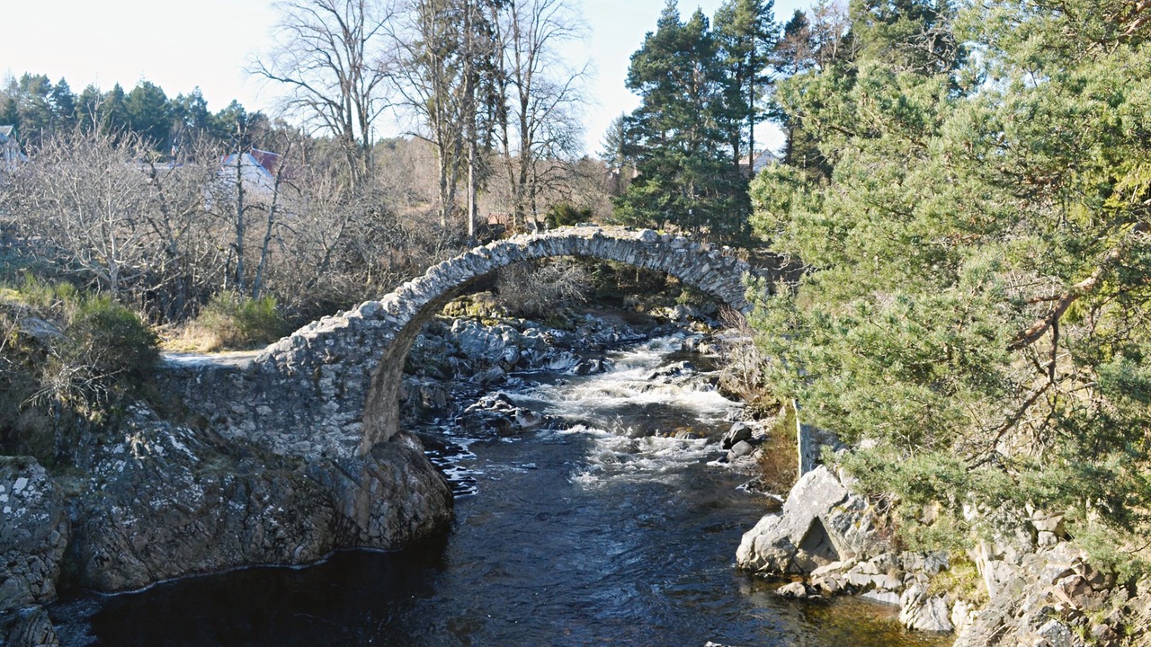 Photo of Others in Carrbridge