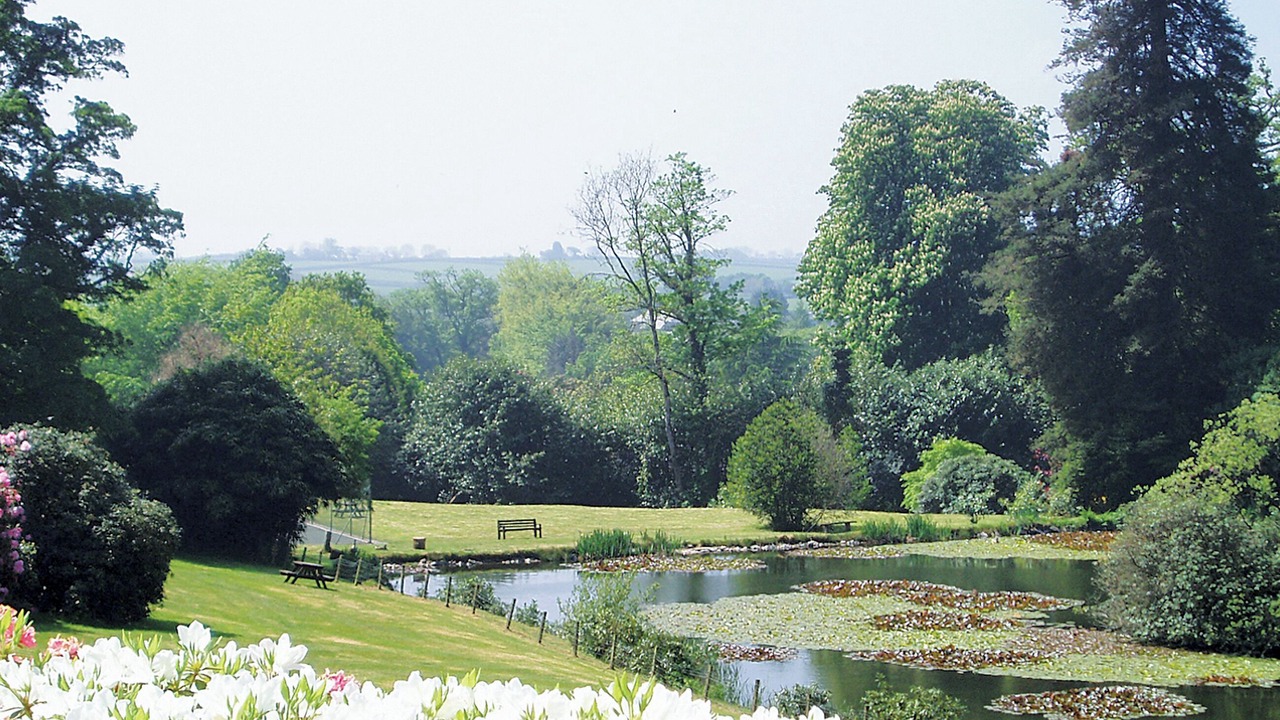 Photo of Outdoor in Liskeard