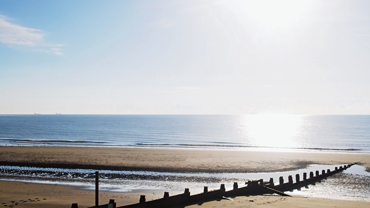 Photo of Others in Sandown