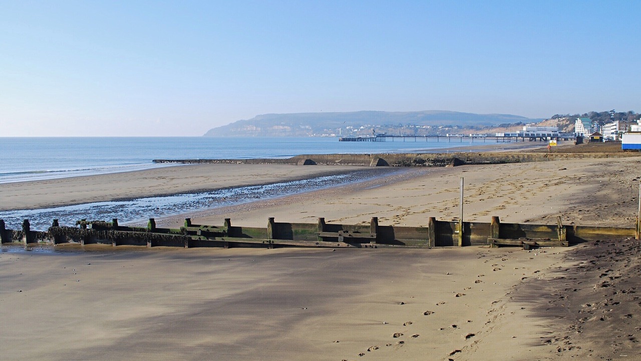 Photo of Others in Sandown