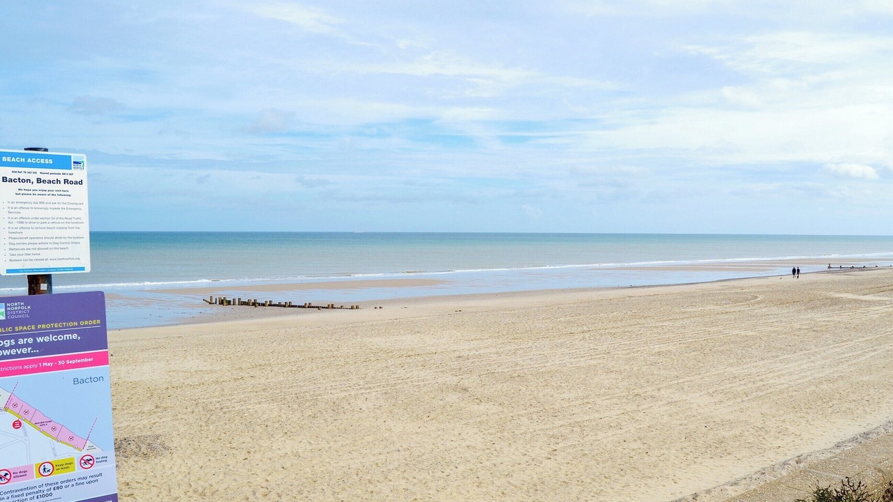 Photo of Others in Bacton