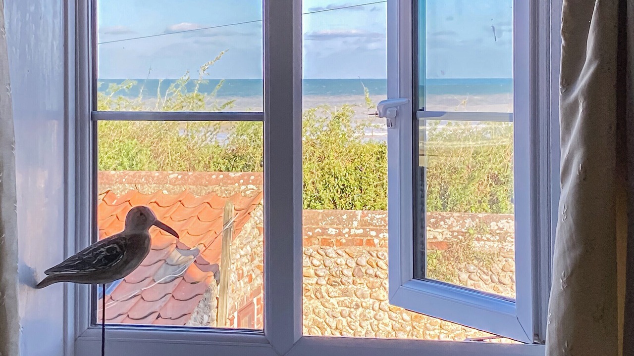 Photo of Others in Bacton