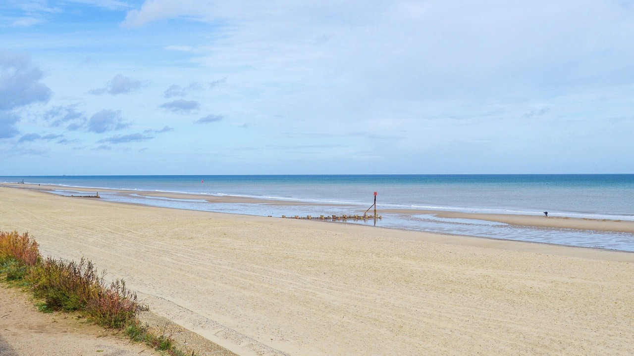 Photo of Others in Bacton