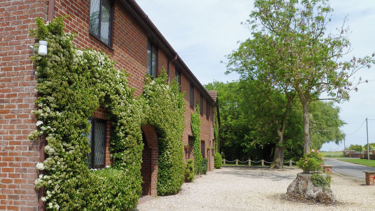 Photo of Outdoor in Skegness