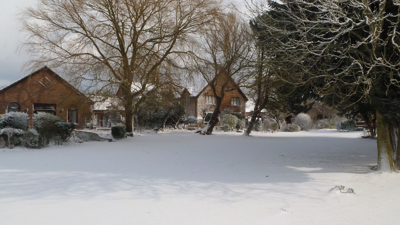 Photo of Others in Skegness