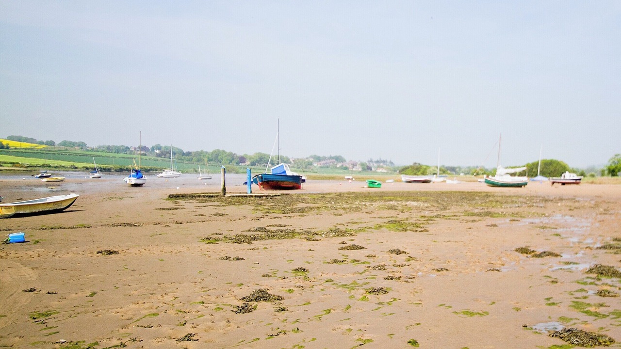 Photo of Others in Alnmouth