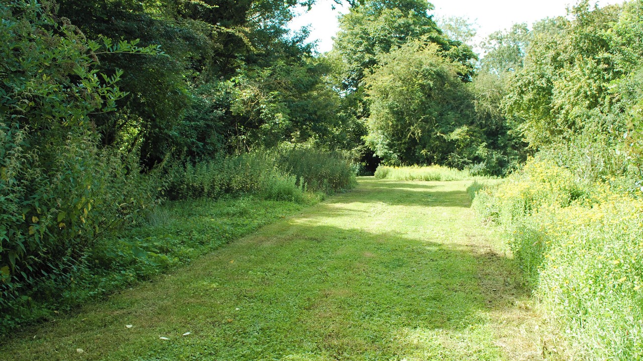 Photo of Others in Saxmundham