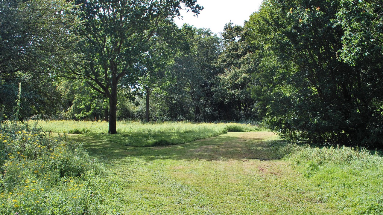 Photo of Others in Saxmundham