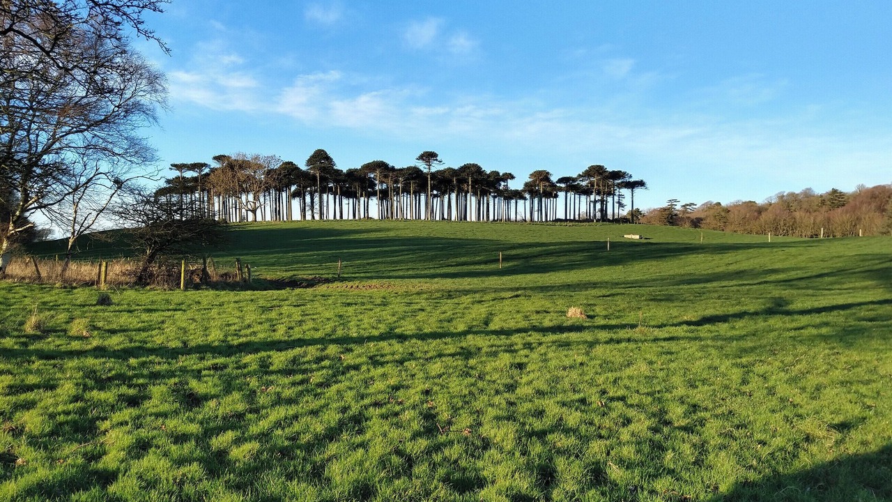 Photo of Others in Monreith