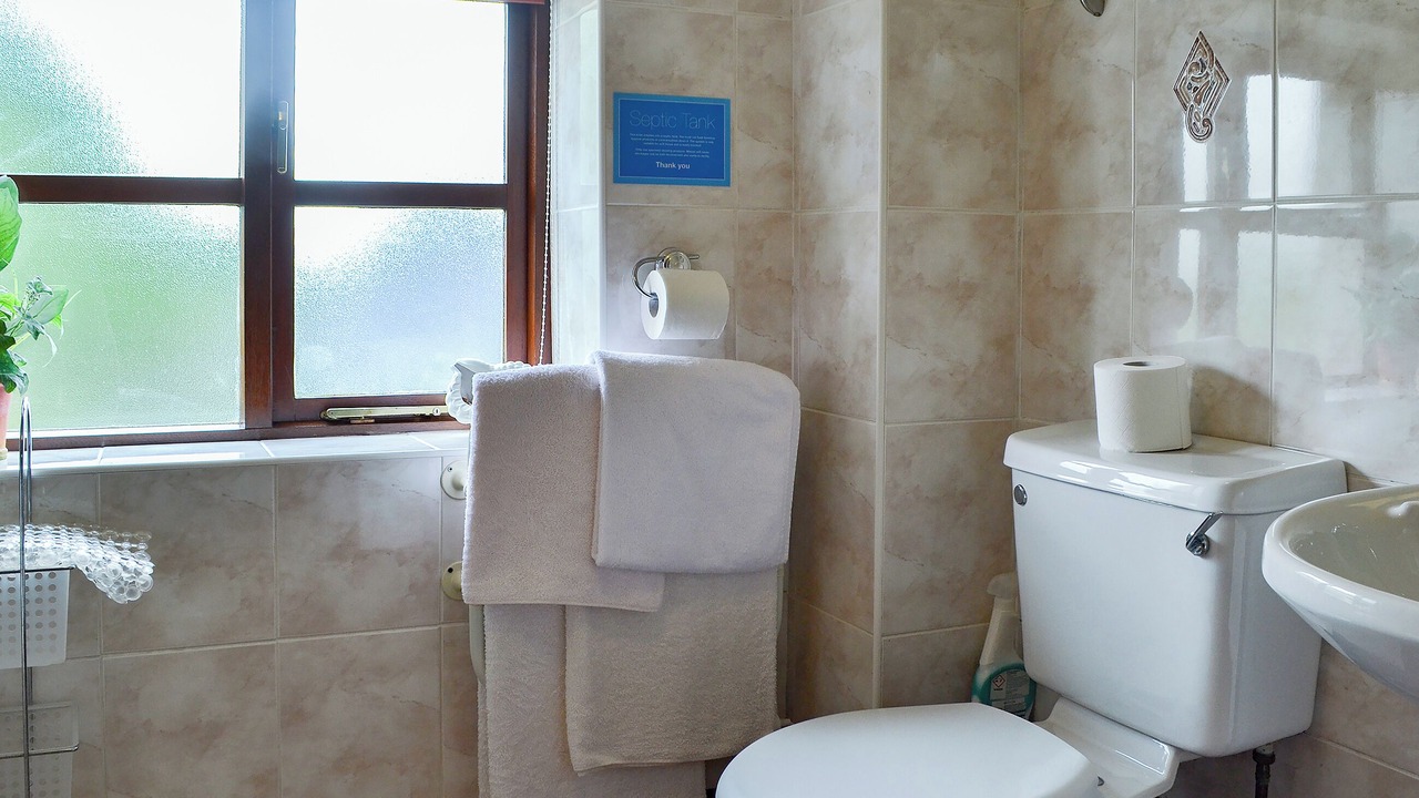 Photo of Bathroom in Bont Newydd