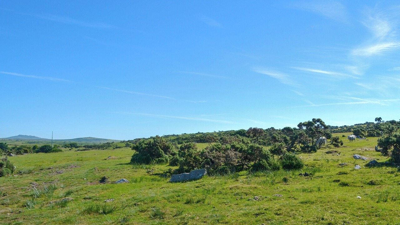 Photo of Others in Saint Breward
