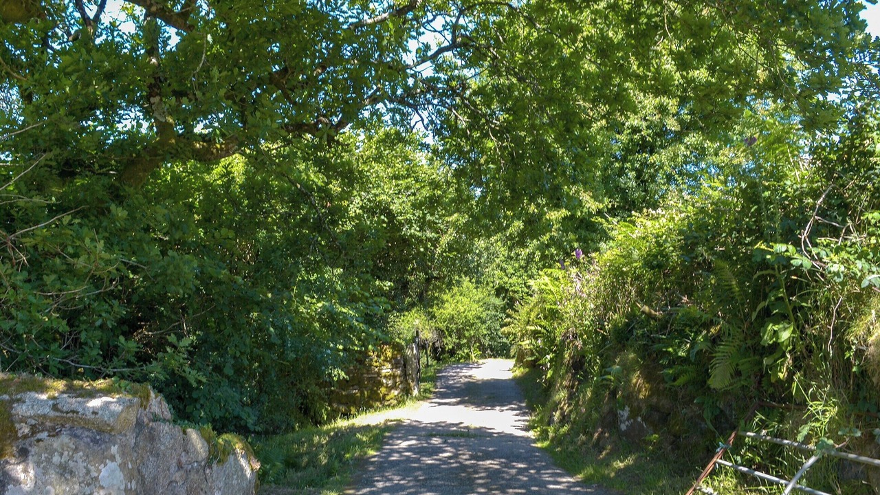 Photo of Others in Saint Breward