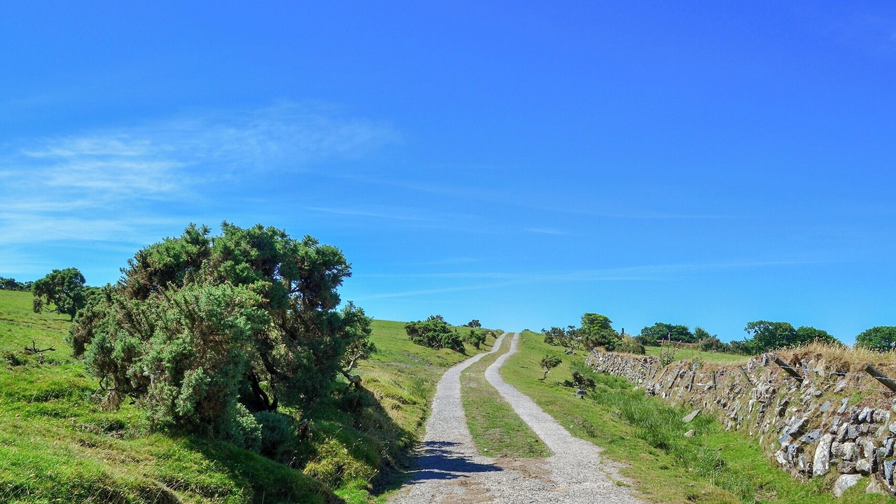 Photo of Others in Saint Breward