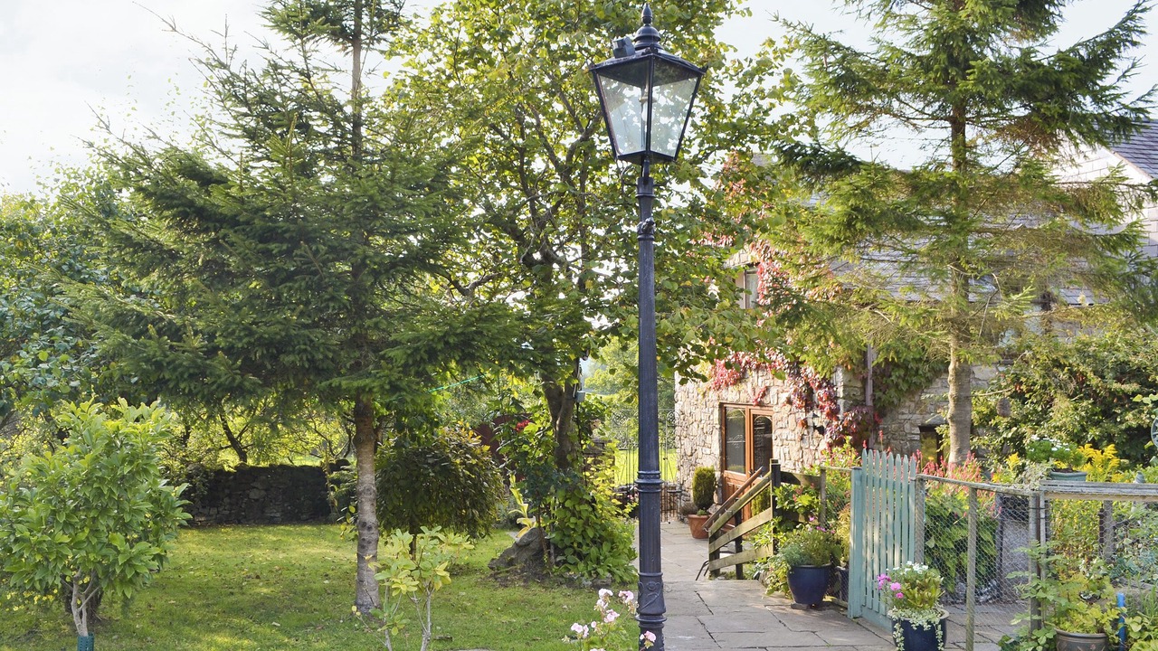 Photo of Outdoor in Mold