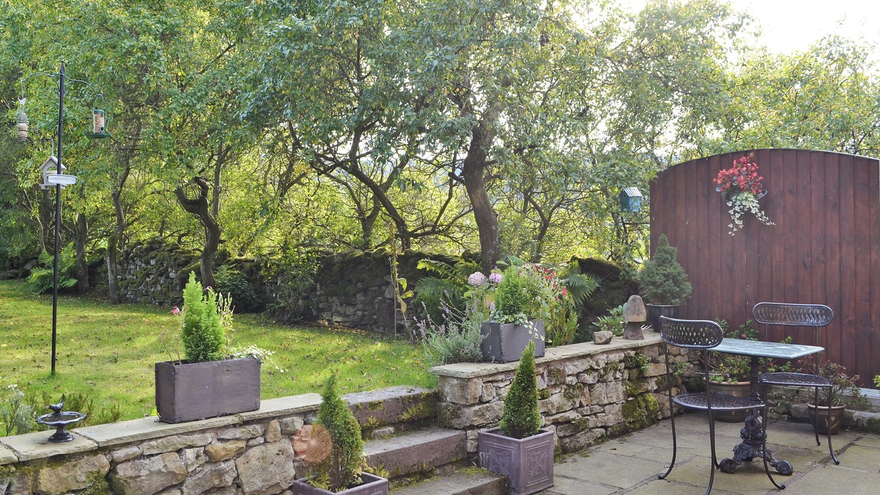 Photo of Outdoor in Mold