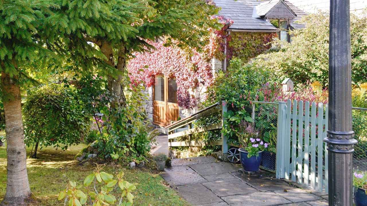 Photo of Others in Mold