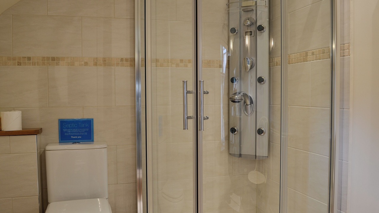 Photo of Others in Mold