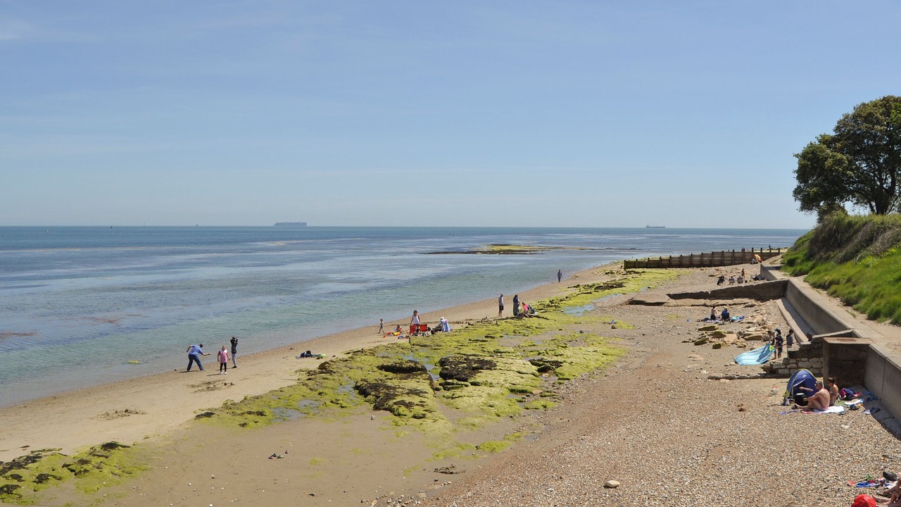 Photo of Others in Bembridge