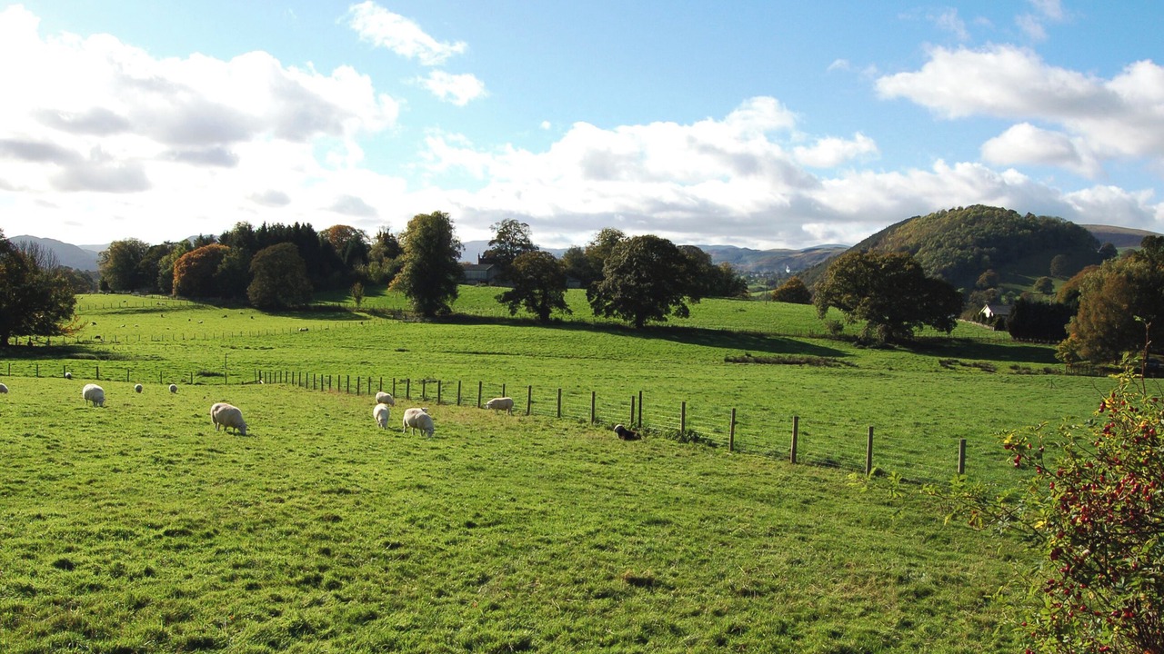 Photo of Others in Pooley Bridge