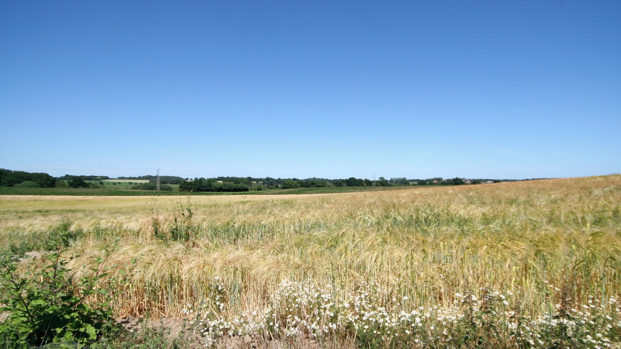 Photo of Others in Wenhaston