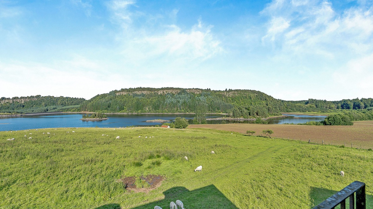 Photo of Others in Fintry