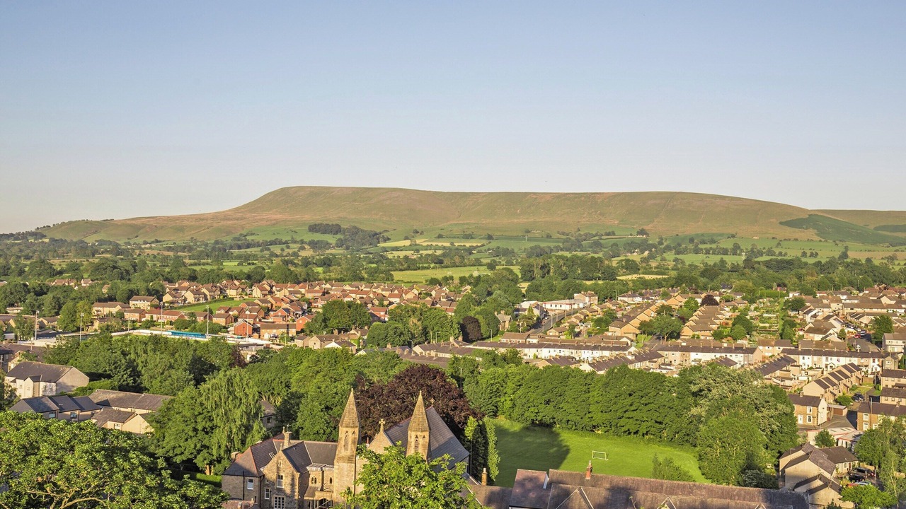 Photo of Others in Fence