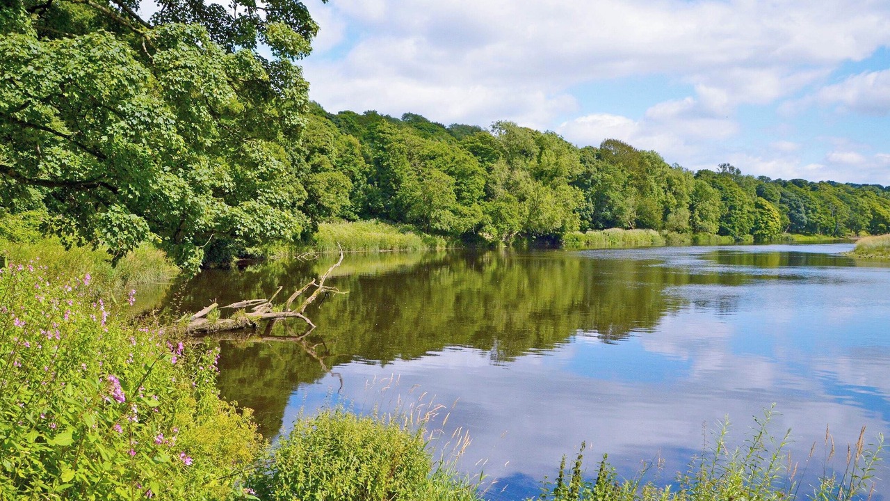 Photo of Others in Fence