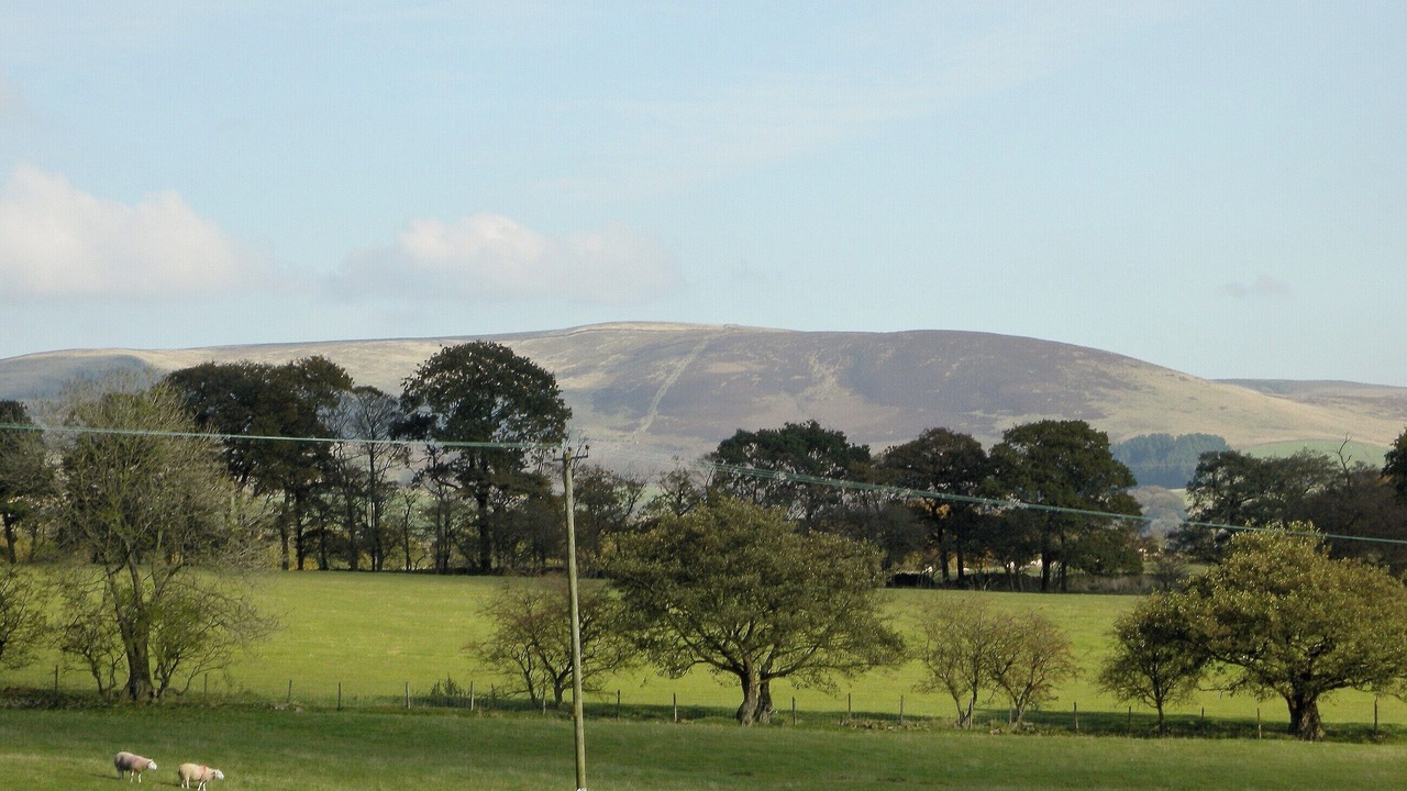 Photo of Others in Fence