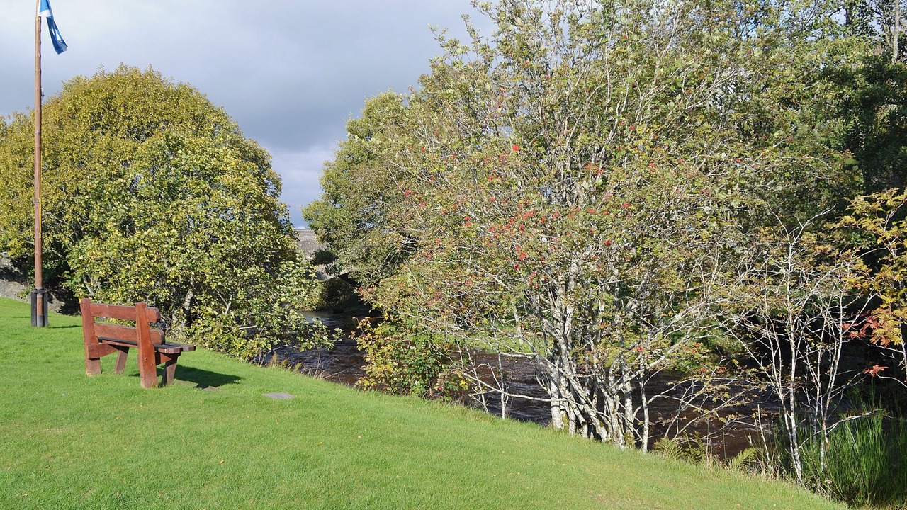 Photo of Others in Nethy Bridge