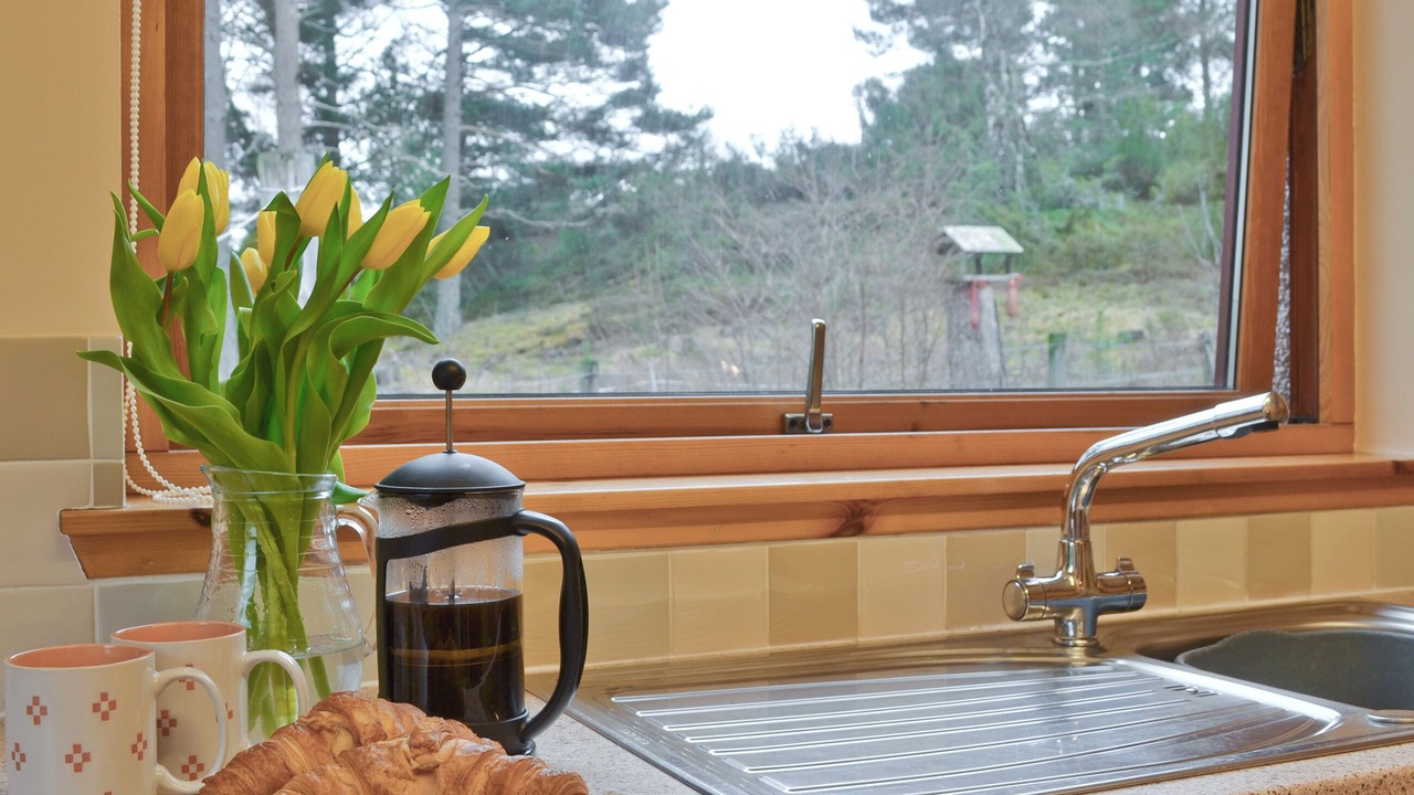 Photo of Others in Nethy Bridge